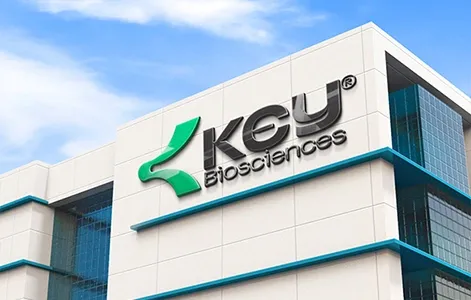 company overview